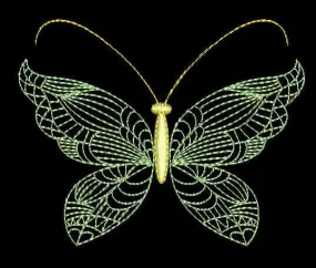 Delicate Wings 05