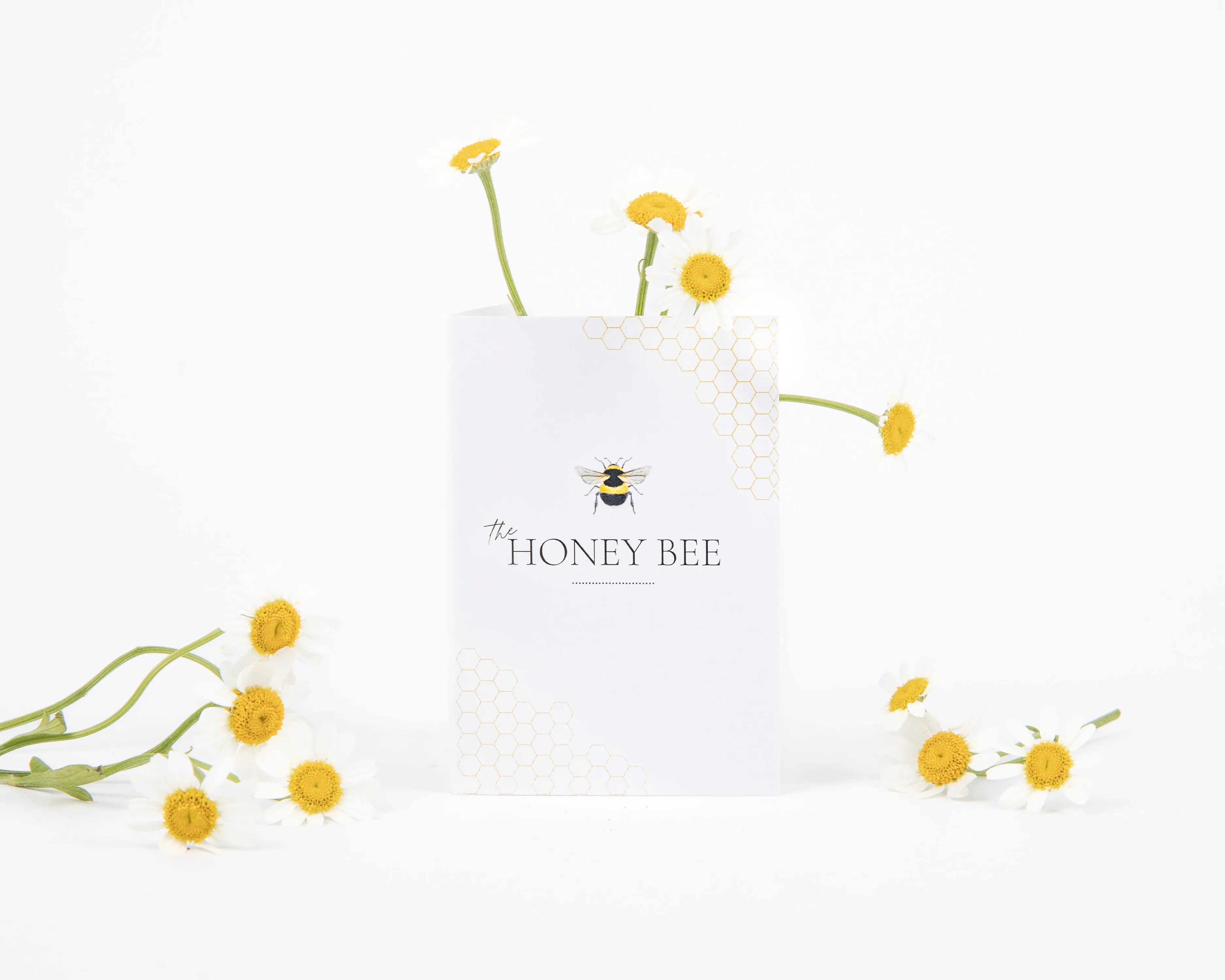 Honey Bee Studs